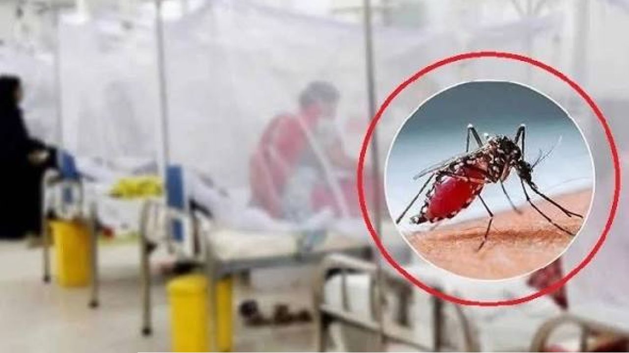 ডেঙ্গুতে আরও ৫ মৃত্যু, হাসপাতালে ভর্তি ১,৯২০