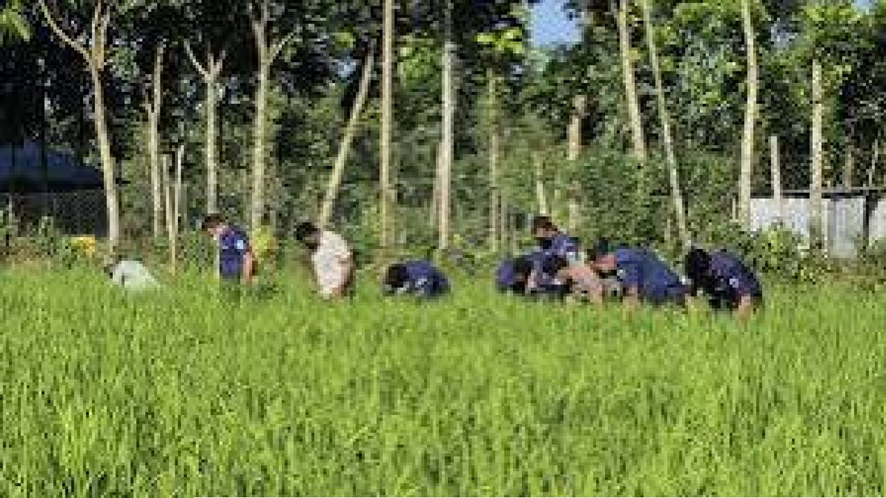 নিখোঁজের চার দিন পর ধানক্ষেতে শিশুর মরদেহ